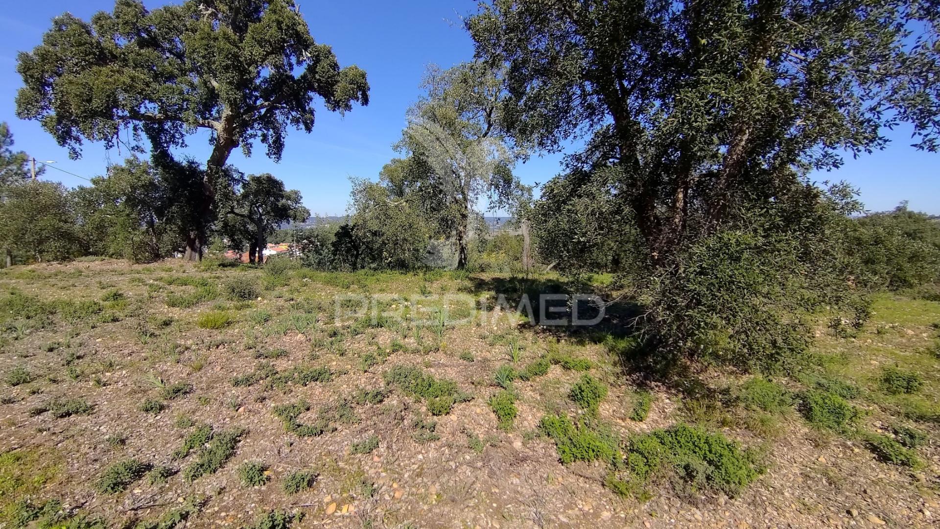 Terreno rústico 1640 m2