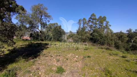 Terreno rústico 1640 m2