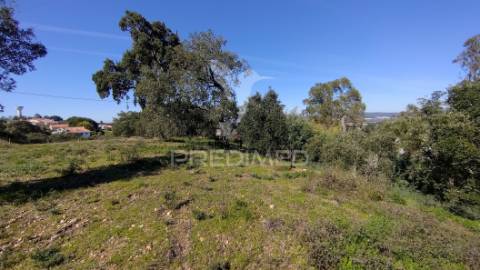 Terreno rústico 1640 m2