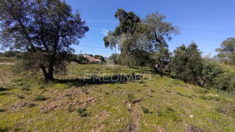 Terreno rústico 1640 m2