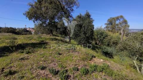 Terreno rústico 1640 m2