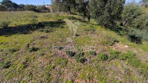 Terreno rústico 1640 m2