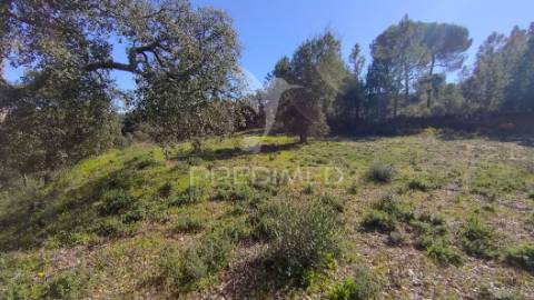 Terreno rústico 1640 m2