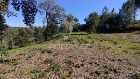 Terreno rústico 1640 m2