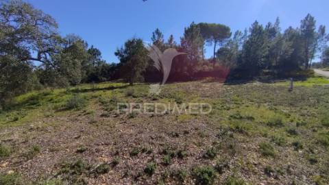 Terreno rústico 1640 m2