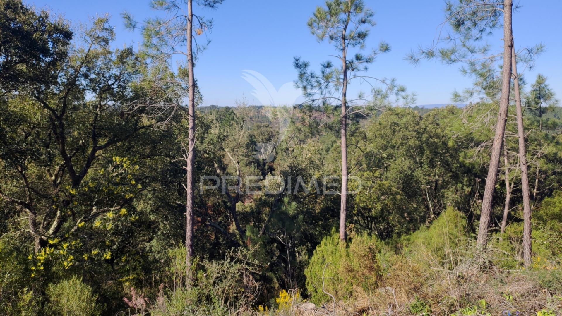 Terreno rústico 4280 m2