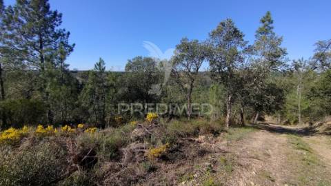 Terreno rústico 4280 m2