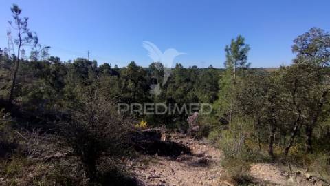 Terreno rústico 4280 m2