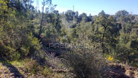 Terreno rústico 4280 m2