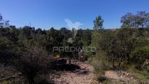 Terreno rústico 4280 m2