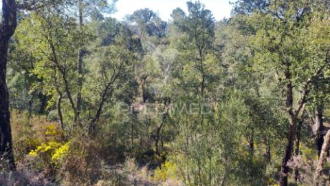 Terreno rústico 4280 m2