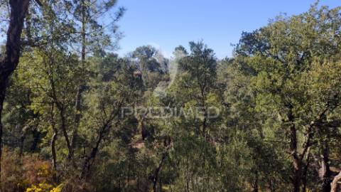 Terreno rústico 4280 m2