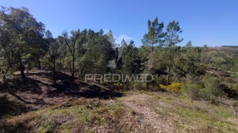 Terreno rústico 4280 m2