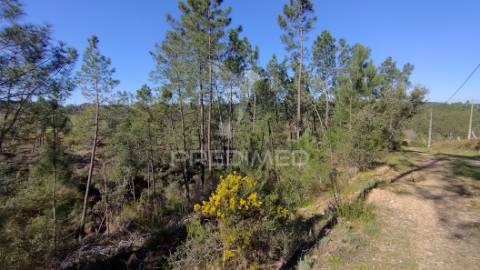 Terreno rústico 4280 m2