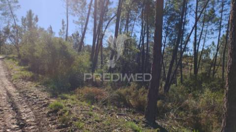 Terreno rústico 4280 m2