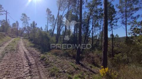 Terreno rústico 4280 m2