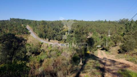 Terreno rústico 4280 m2