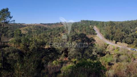 Terreno rústico 4280 m2