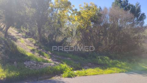 Terreno rústico 4280 m2