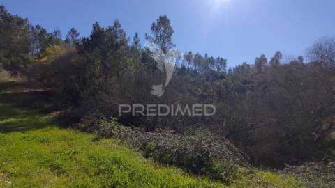 Terreno rústico 4280 m2