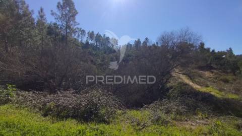 Terreno rústico 4280 m2