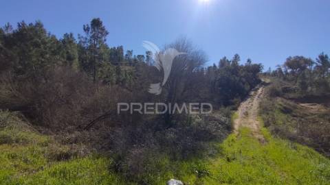 Terreno rústico 4280 m2