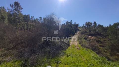 Terreno rústico 4280 m2