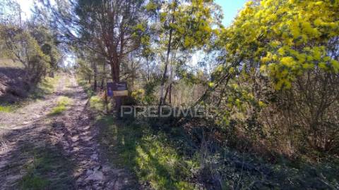 Terreno rústico 4280 m2