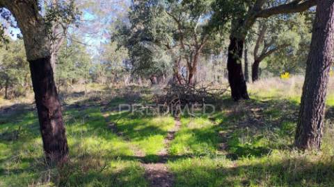 Terreno rústico 3240 m2