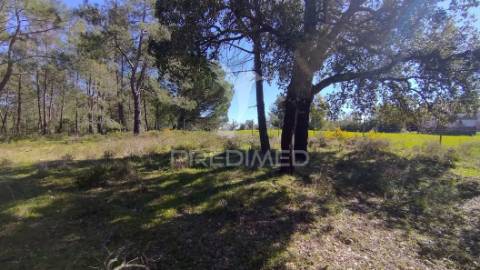 Terreno rústico 3240 m2