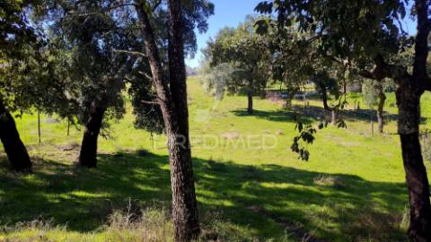 Terreno rústico 3240 m2