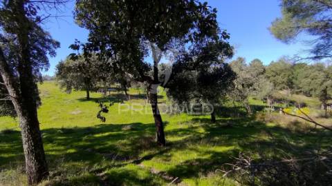 Terreno rústico 3240 m2