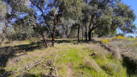 Terreno rústico 3240 m2