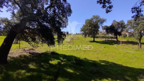 Terreno rústico 3240 m2