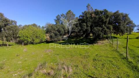 Terreno rústico 3240 m2