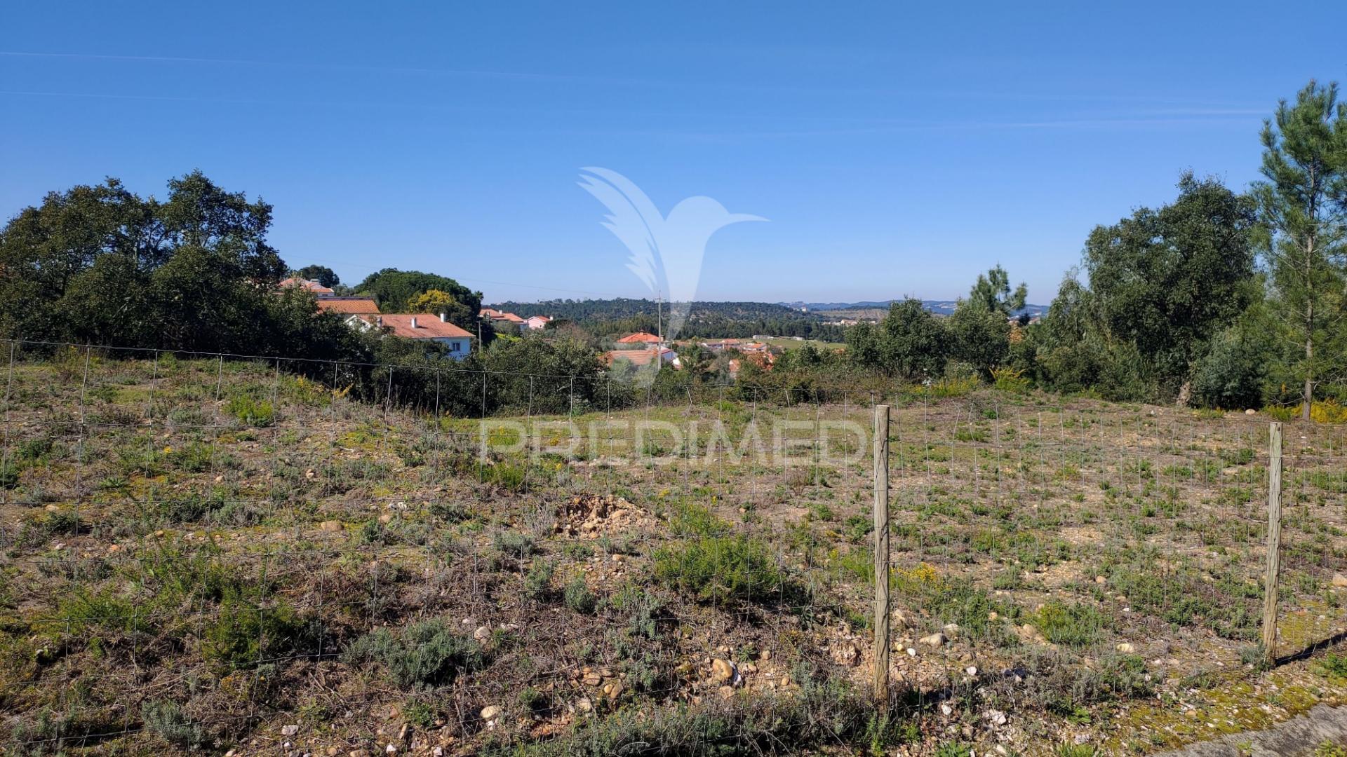 Terreno rústico 8600 m2