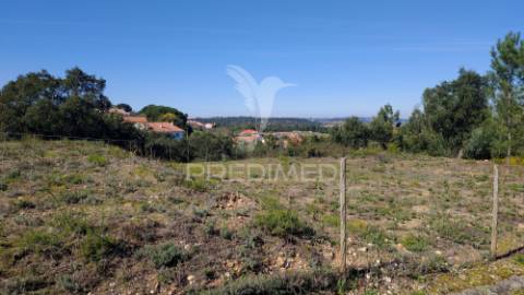 Terreno rústico 8600 m2