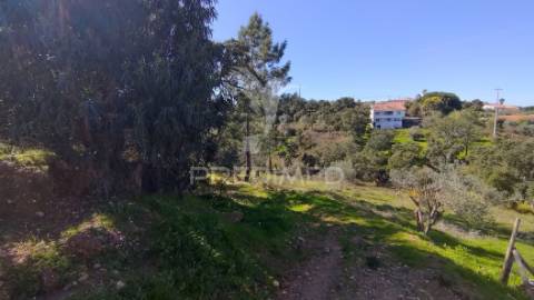 Terreno rústico 8600 m2