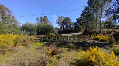 Terreno rústico 8600 m2