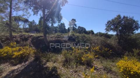 Terreno rústico 8600 m2