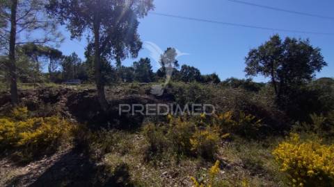 Terreno rústico 8600 m2