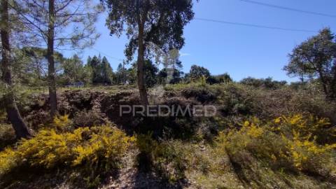 Terreno rústico 8600 m2