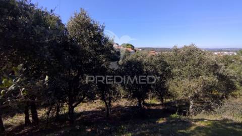 Terreno rústico 8600 m2