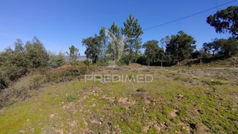 Terreno rústico 8600 m2