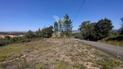 Terreno rústico 8600 m2