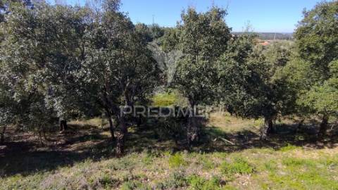 Terreno rústico 8600 m2