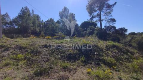 Terreno rústico 8600 m2