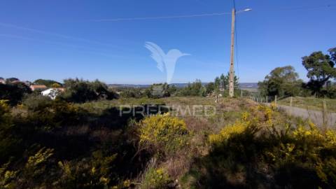 Terreno rústico 8600 m2