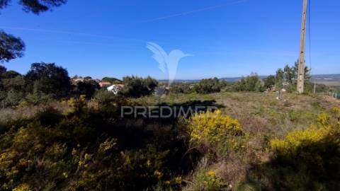 Terreno rústico 8600 m2