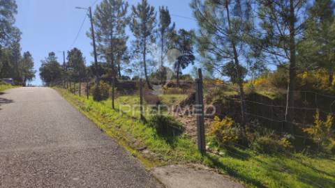 Terreno rústico 8600 m2